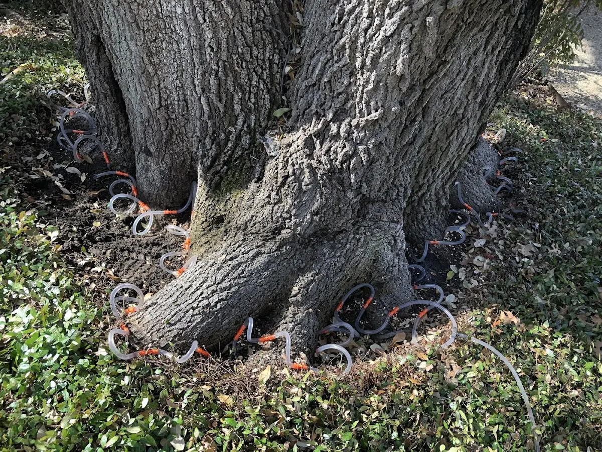 Detailed Shrub and Hedge Trimming job site in Bixby